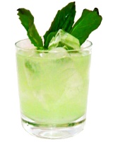 Gin Basil Smash