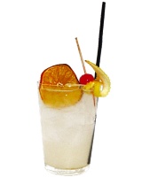 Gin Fizz